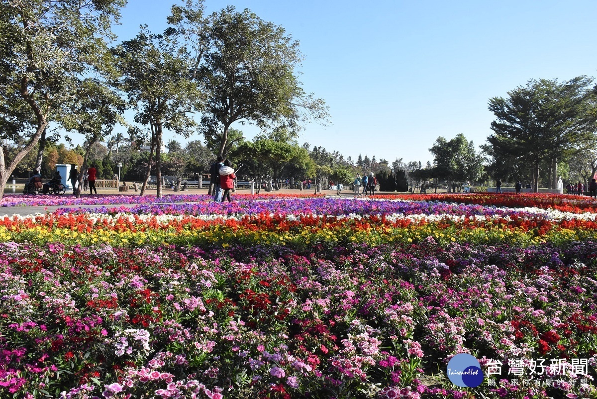 2019花在彰化在溪洲公園。