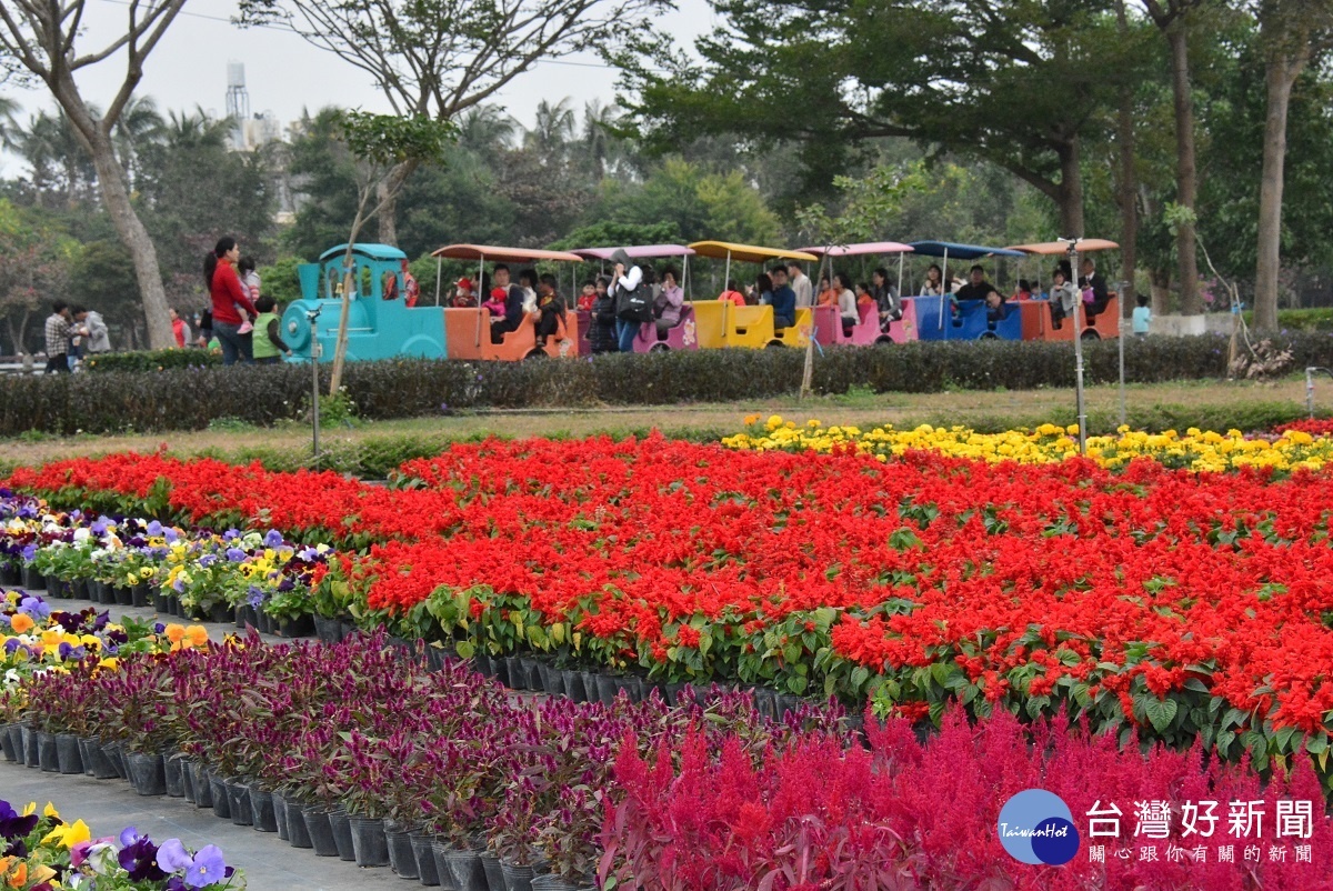 2019花在彰化溪洲公園。