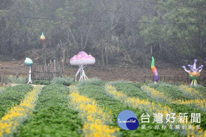 品茗吃客庄美食　欣賞金黃璀璨魯冰花海　 台灣好新聞 第1張