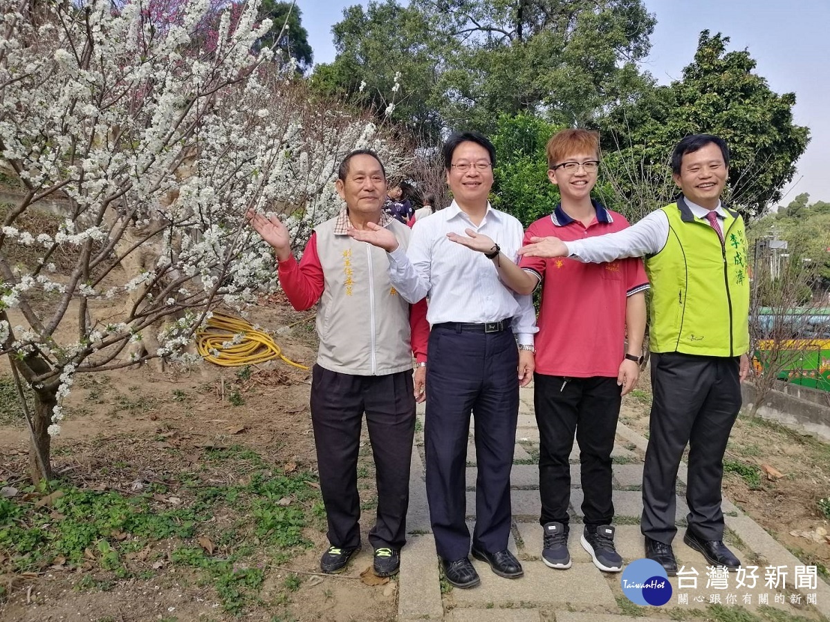 宛如少女粉上胭脂　花壇虎山岩李花雪白花朵浪漫現蹤跡 台灣好新聞 第4張