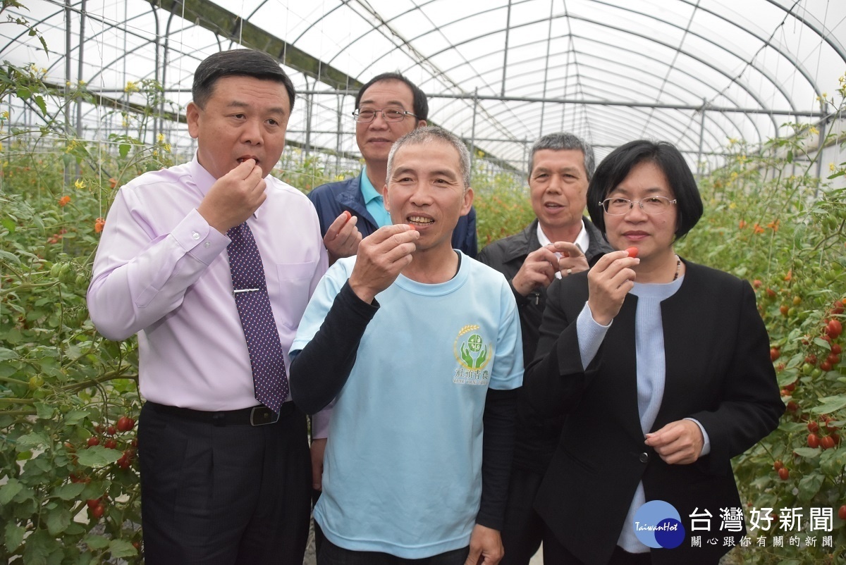 小果番茄評鑑冠軍果園觀摩會。