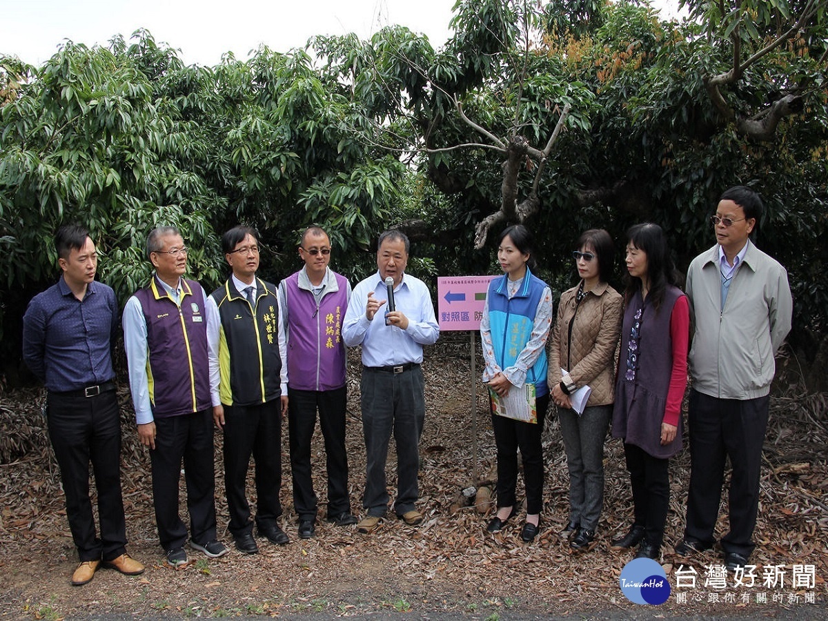 整合防治荔枝椿象　農委會籲農民把握關鍵防治時機 台灣好新聞 第1張