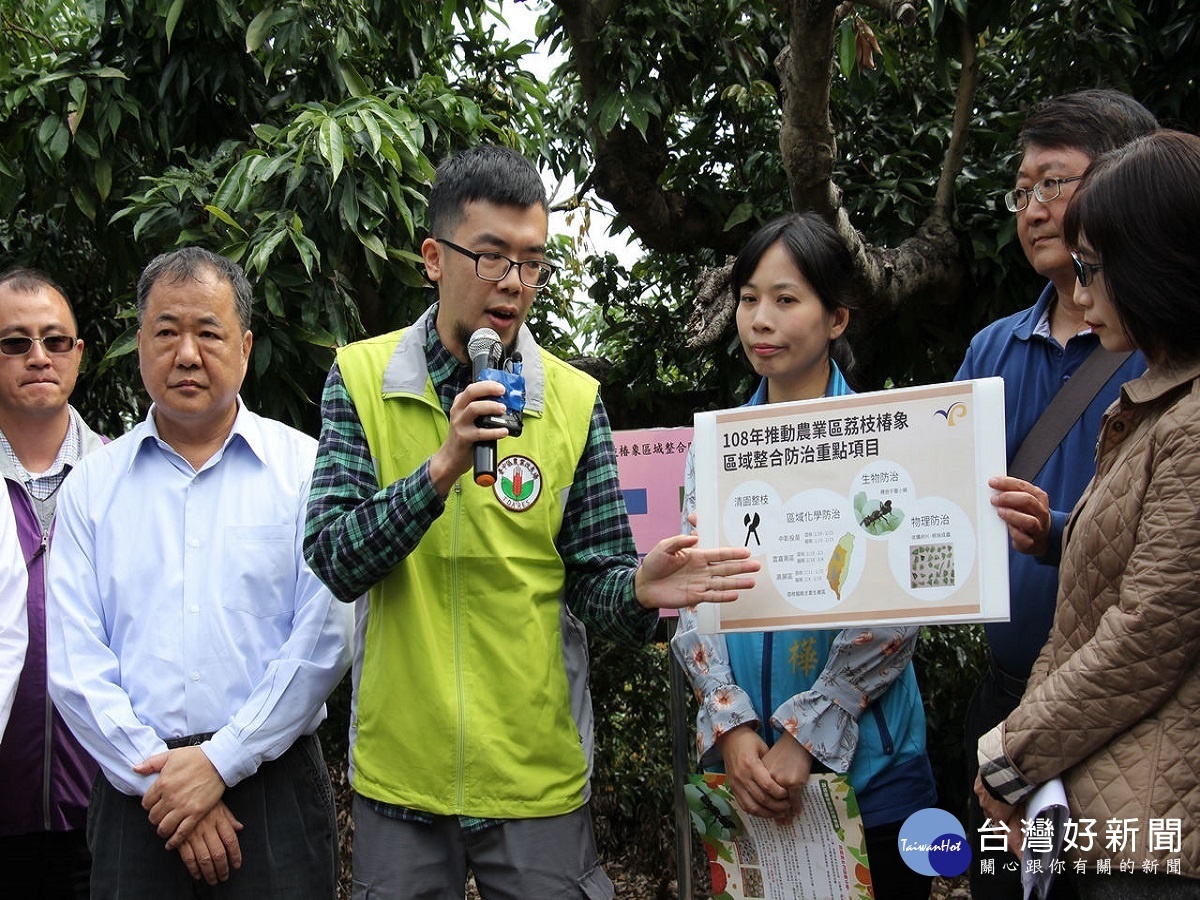 整合防治荔枝椿象　農委會籲農民把握關鍵防治時機 台灣好新聞 第4張