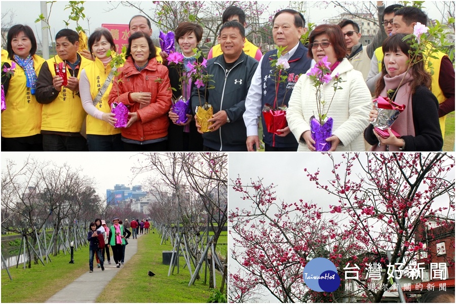 羅東慶祝植樹節　228 到櫻花步道健走賞櫻做環保 台灣好新聞 第1張