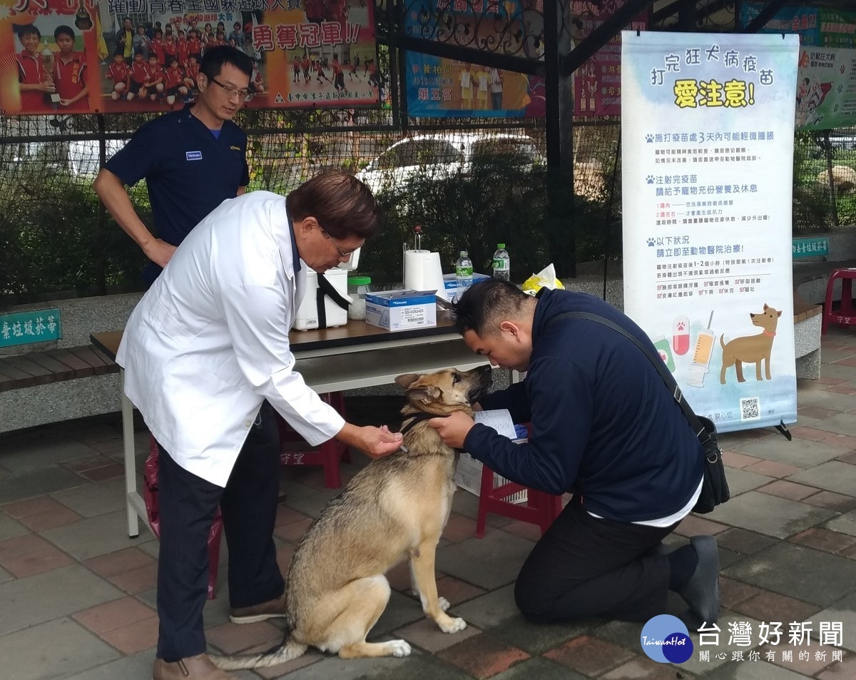 守護毛孩健康　中市3月狂犬疫苗及晶片巡迴注射開跑 台灣好新聞 第1張