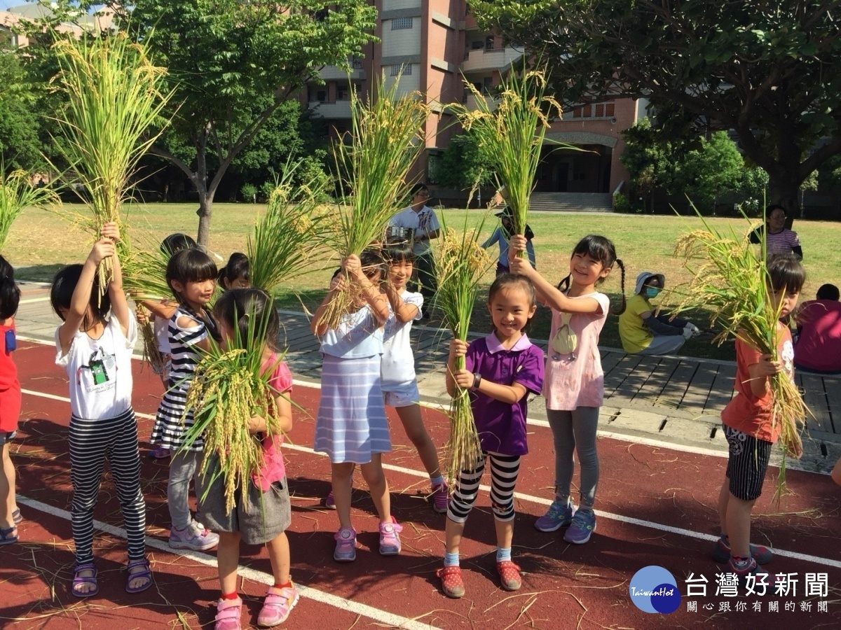 中市公立及非營利幼兒園二階招生　3/23起受理登記 台灣好新聞 第1張