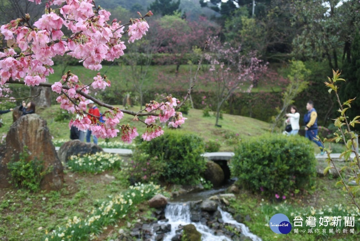 陽明山花季百花盛開美景（圖／台北市公園處提供）