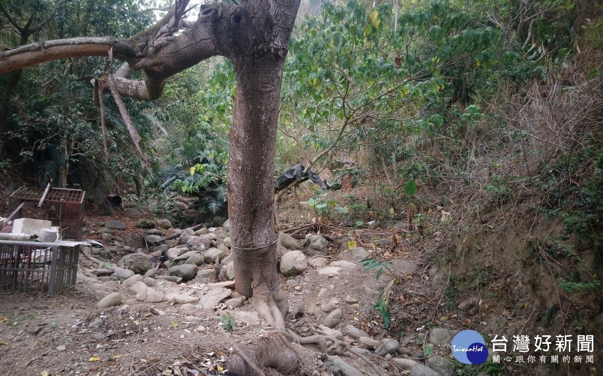 會勘水里地區排水及農路改善工程　林明溱指示儘速處理 台灣好新聞 第2張