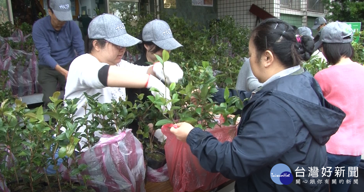 響應植樹節活動　林務局贈1200株小樹苗 台灣好新聞 第1張