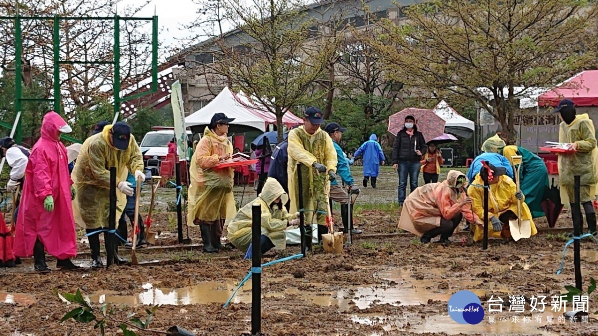 延續台灣原生綠　中市府與中央合辦植樹活動 台灣好新聞 第1張