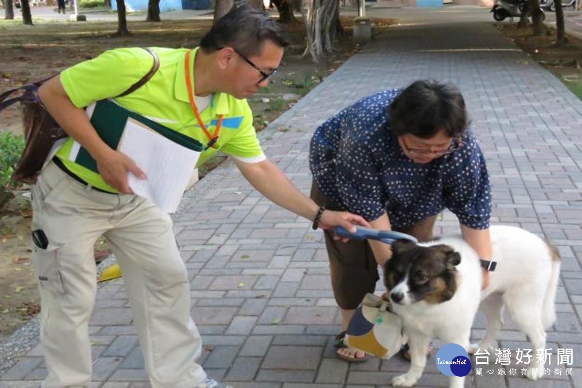 落實犬籍管理強化飼主責任　南市3月起展開稽查 台灣好新聞 第1張