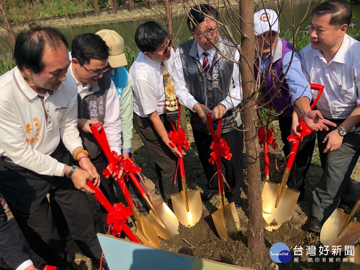 桃市慶植樹節　大溪月眉生態公園種植300株落羽松 台灣好新聞 第1張