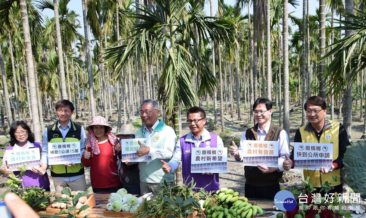 農糧署推檳榔廢園轉作　創造健康農業新價值 台灣好新聞 第1張