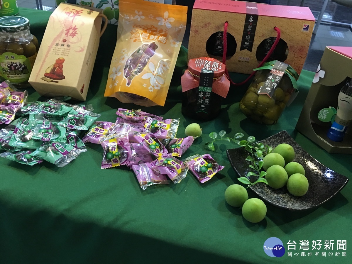信義梅子相當碩大品質極佳,產品多元。(記者扶小萍攝)