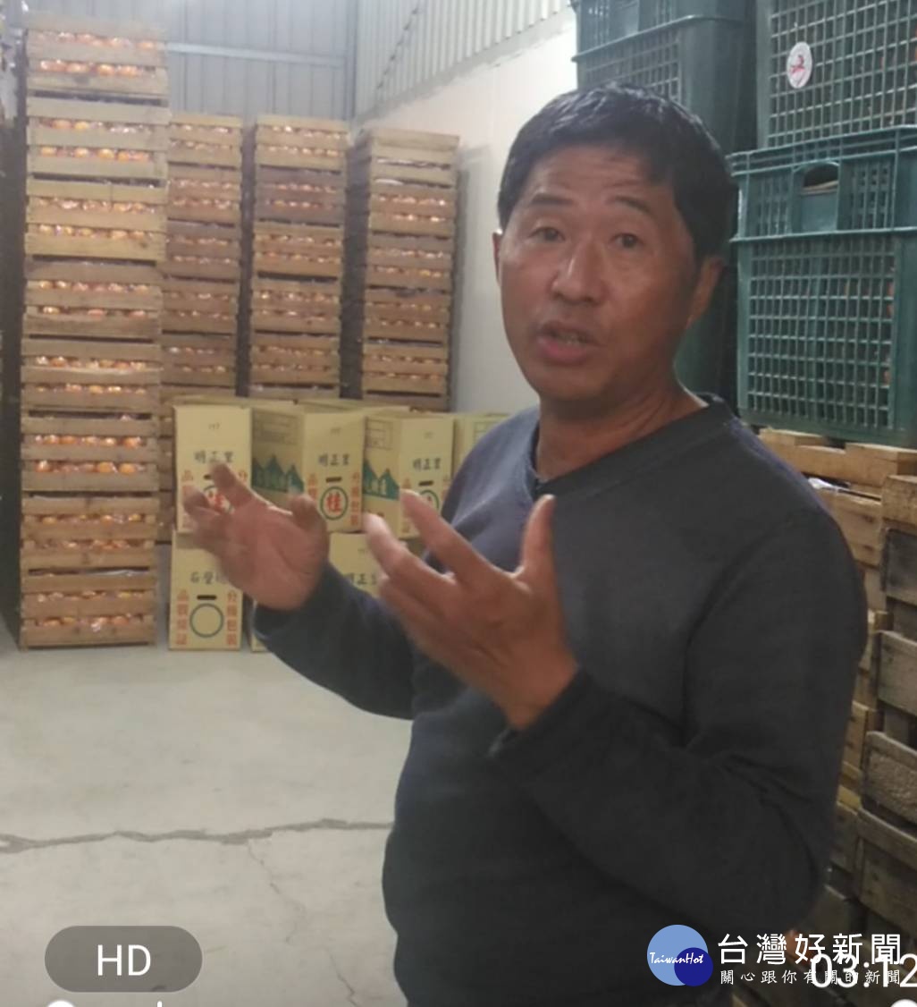 搶救東勢茂谷柑　神秘貿易商出手收購逾1000噸 台灣好新聞 第3張
