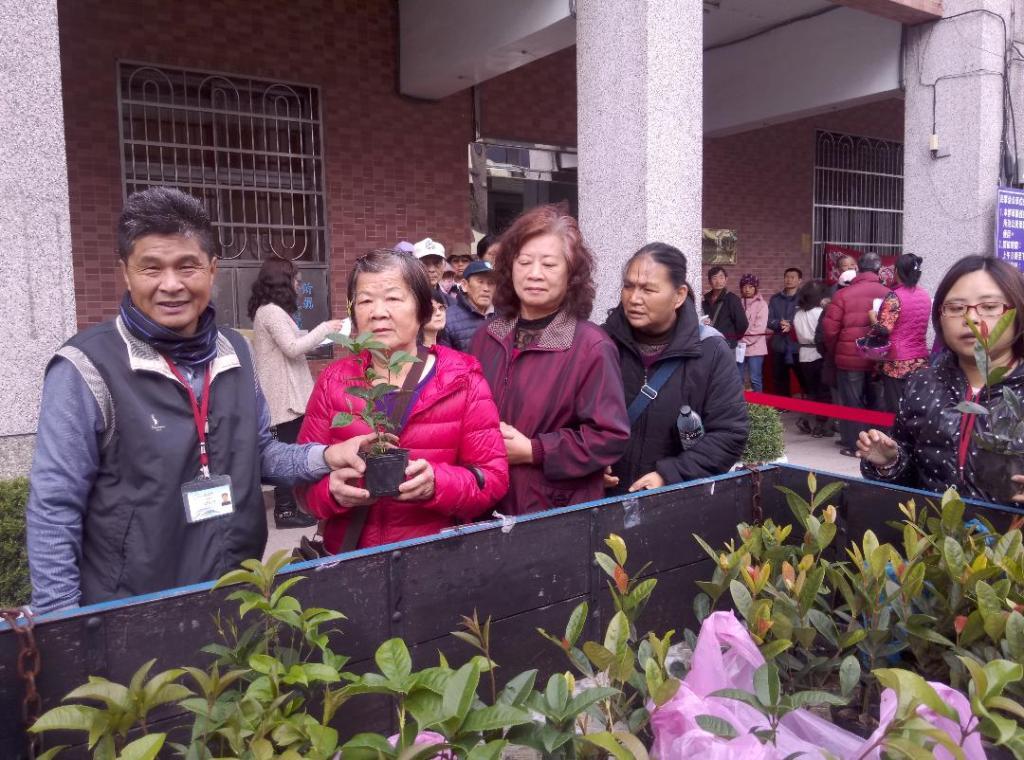 大溪慶植樹節發送樹苗　吸引大批民眾排隊領取 台灣好新聞 第3張
