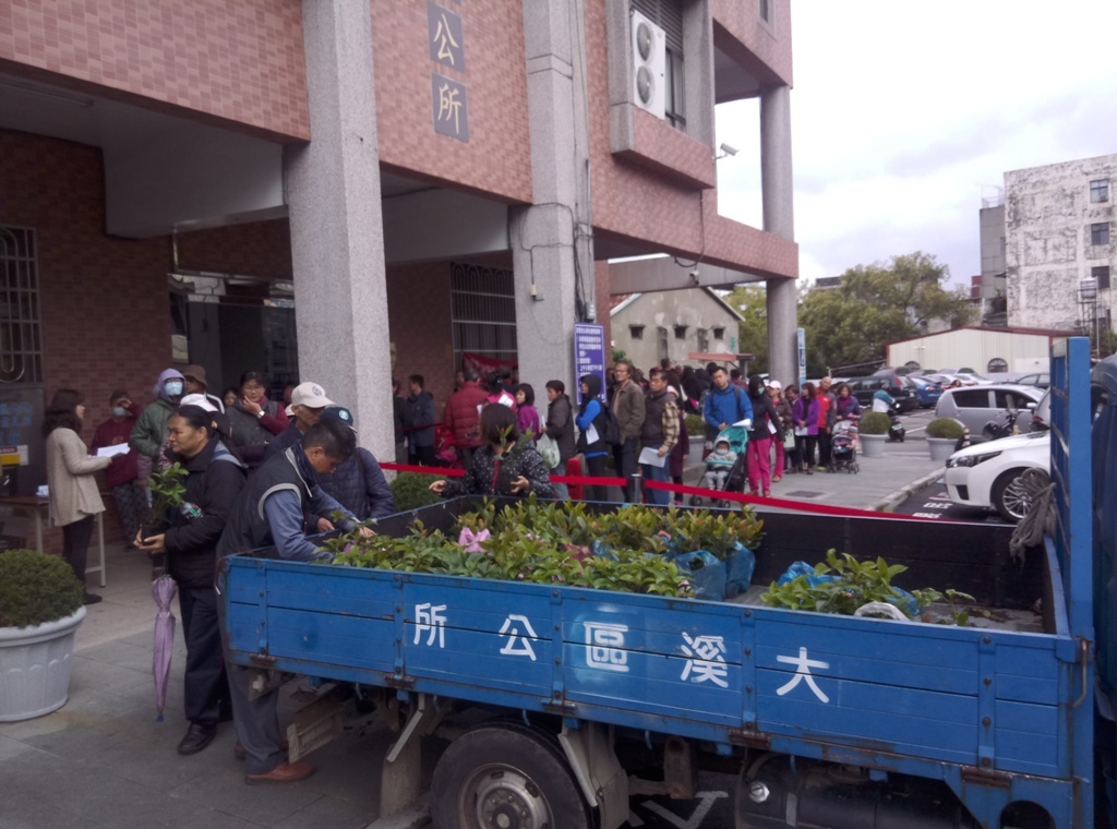 大溪慶植樹節發送樹苗　吸引大批民眾排隊領取 台灣好新聞 第2張