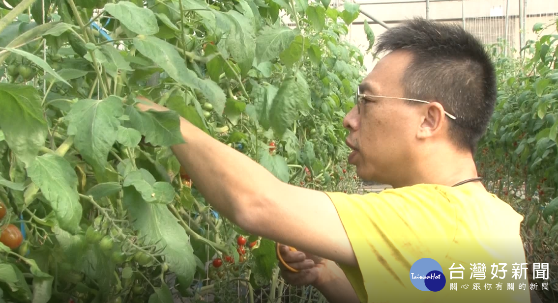 城市中的祕境果園　青年創業為了下一代 台灣好新聞 第1張