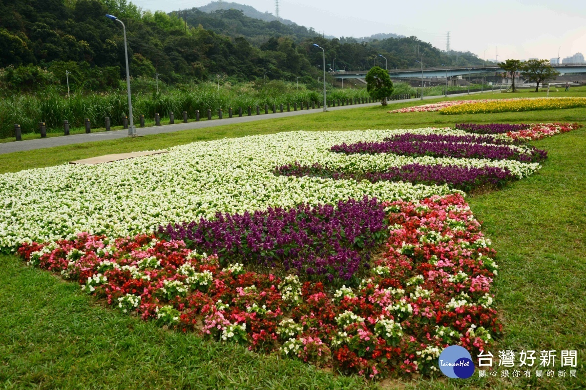 道南河濱花海 賞花期預估可持續到4月下旬(圖/台北市水利處提供)