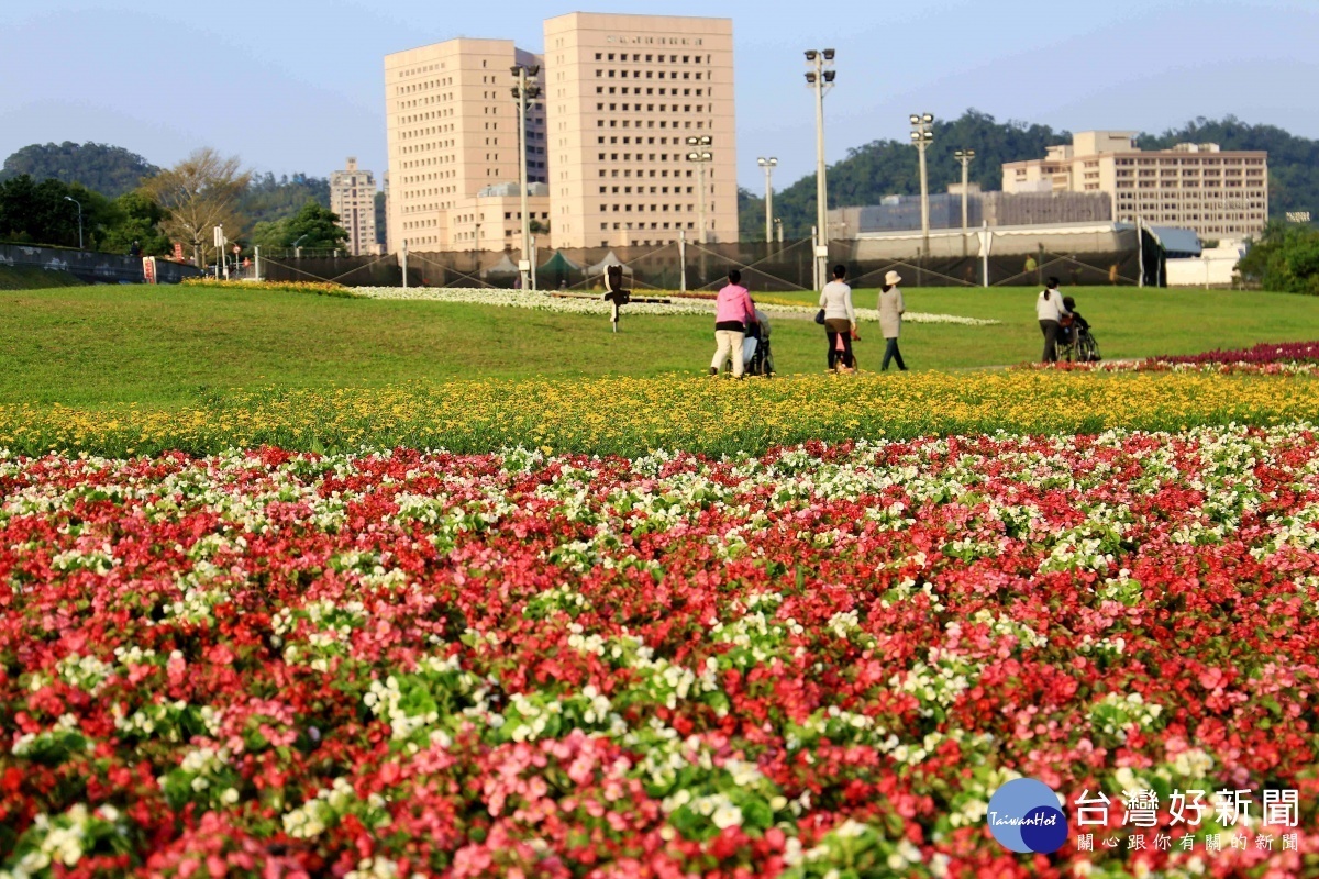 道南河濱公園花海,現在花況大爆發(圖/台北市水利處提供)