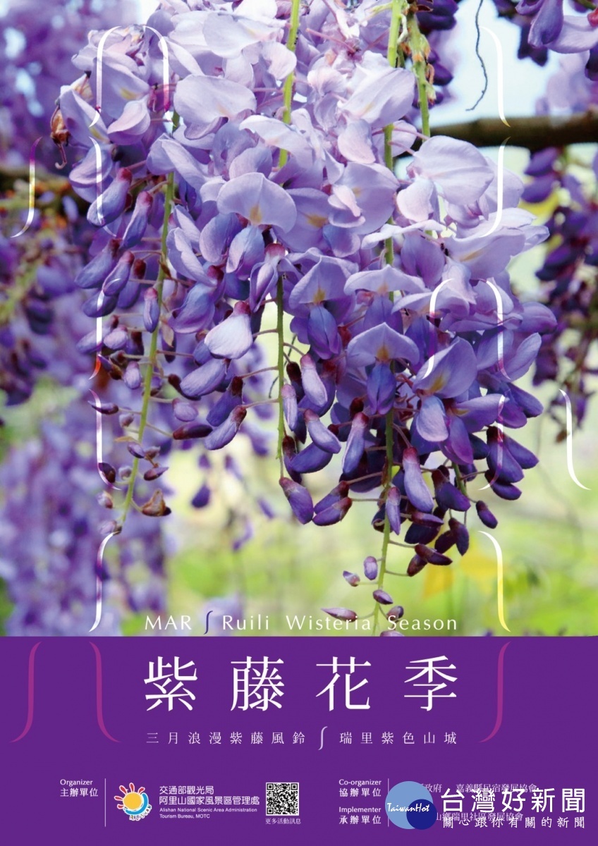 春遊瑞里紫色山城　體驗紫藤花下浪漫氛圍 台灣好新聞 第1張