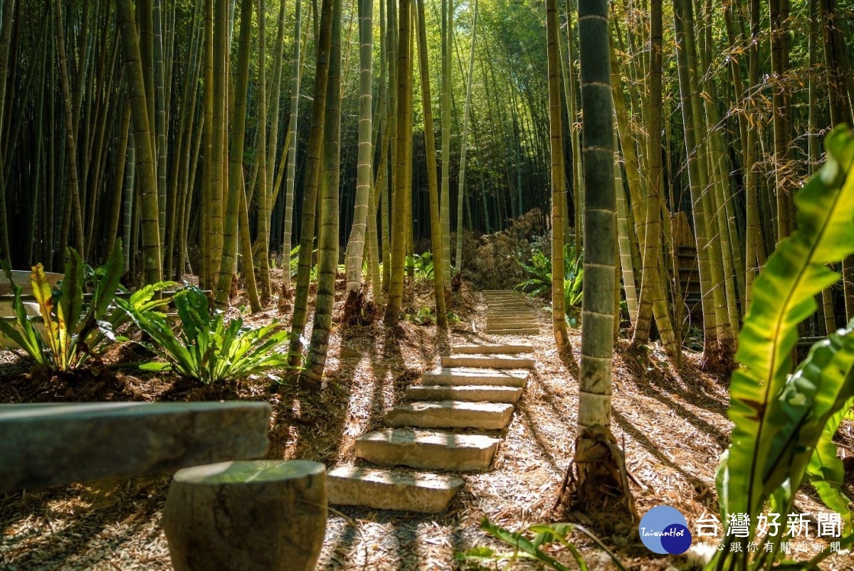 竹林步道