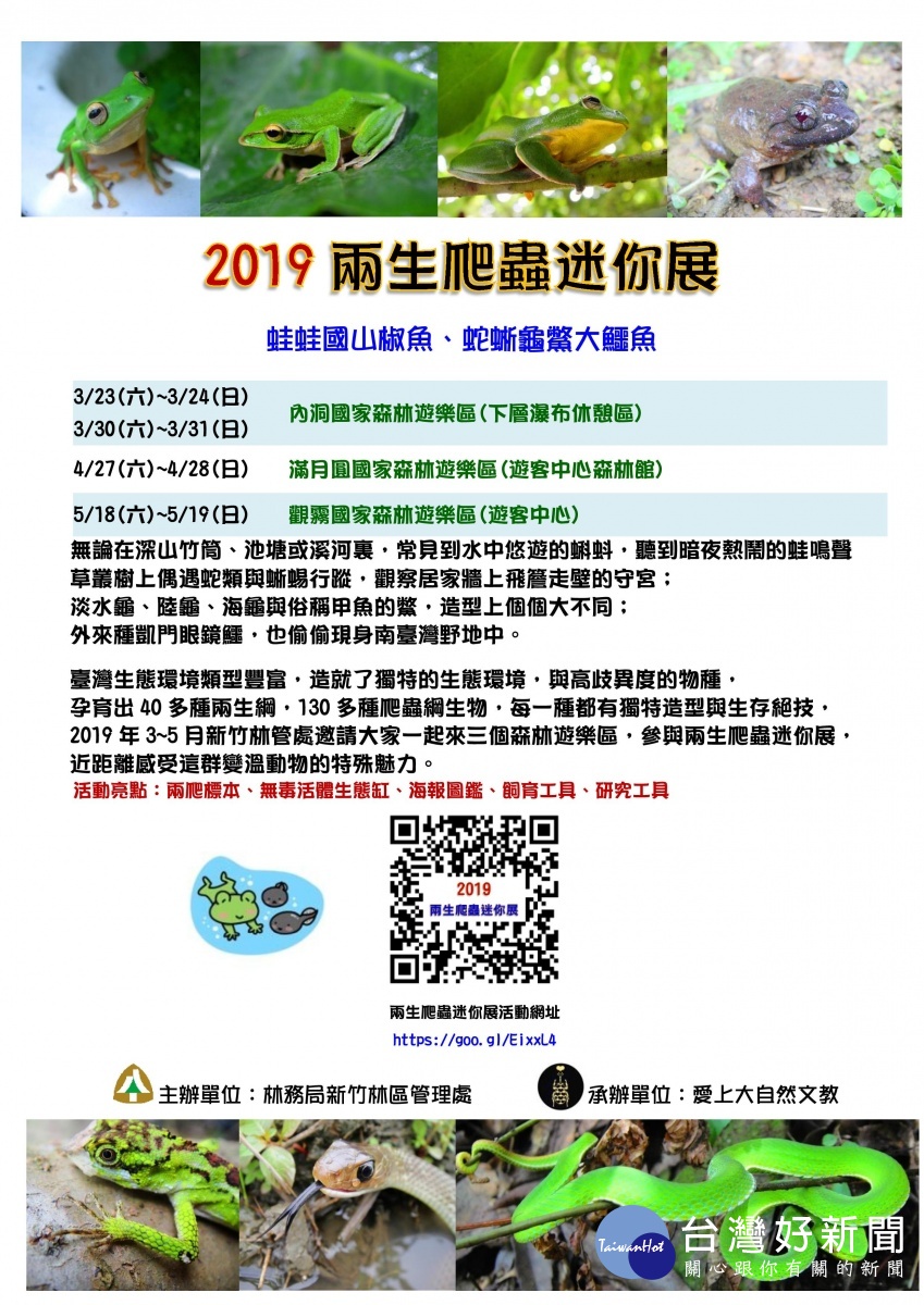 內洞、滿月圓、觀霧國家森林遊樂區推兩生爬蟲迷你展 　感受爬蟲類魅力 台灣好新聞 第1張