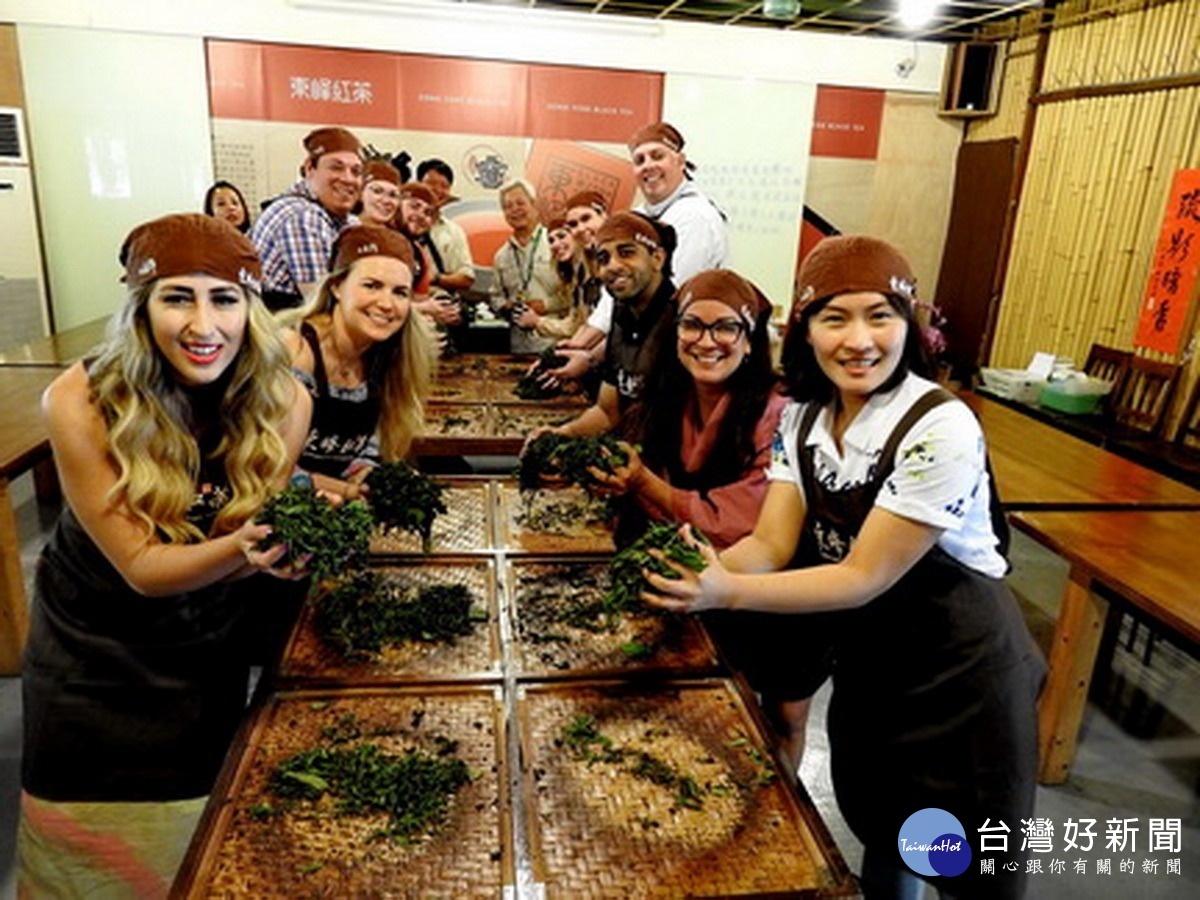 美國青年共和黨成員訪魚池茶鄉　體驗製茶樂、品茶香 台灣好新聞 第2張