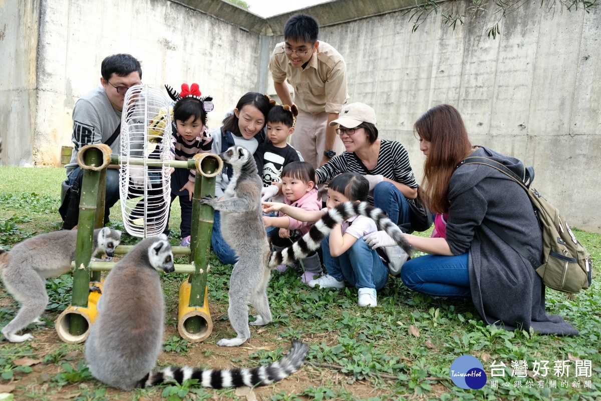 認識動物行為豐富化　六福村動物派對熱烈開鑼 台灣好新聞 第1張