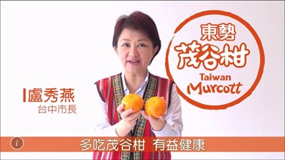 盧秀燕上電視促銷茂谷柑