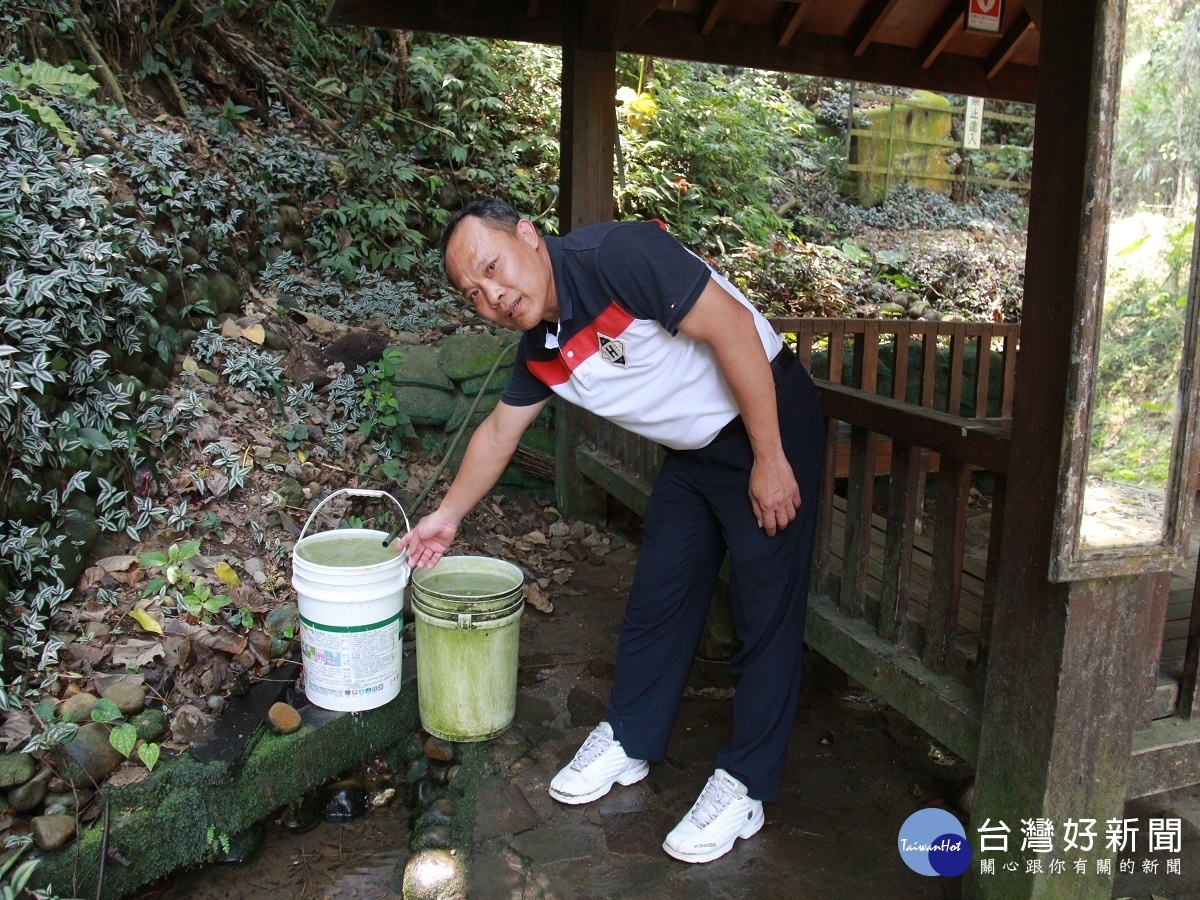 社頭登山古道竟變殺「鹿」戰場　行徑太離譜希望政府重視