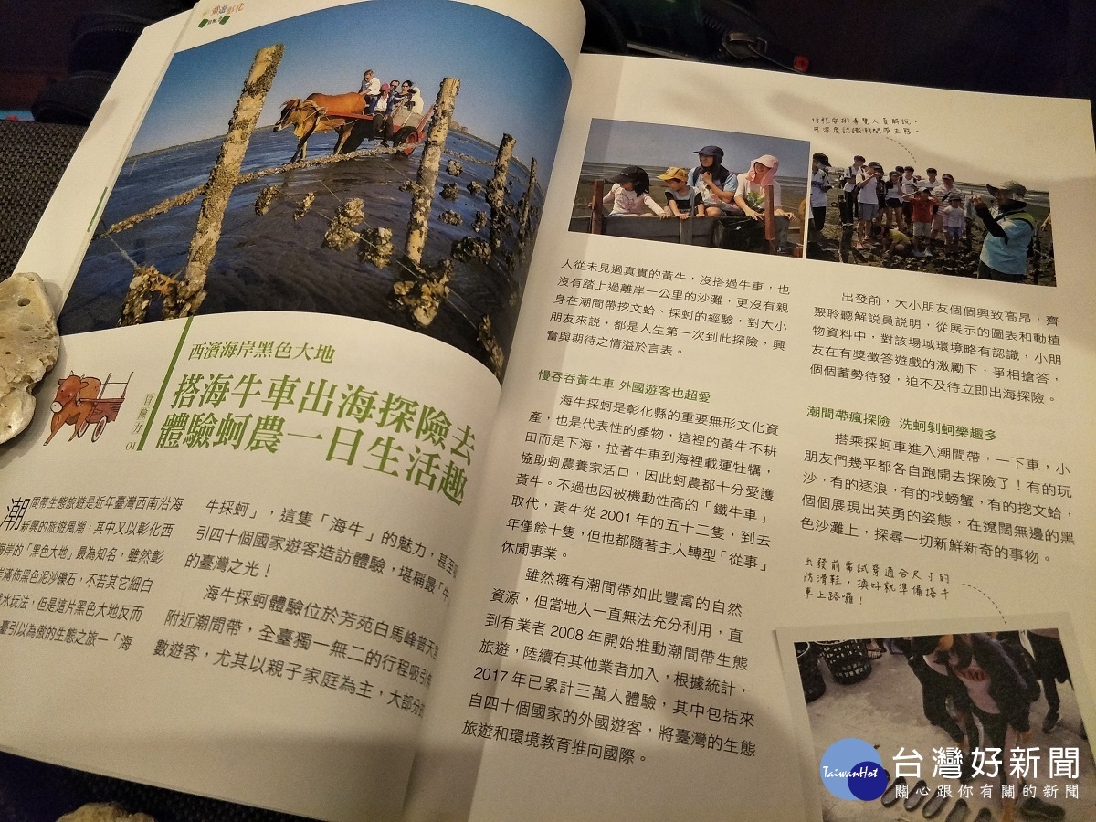 芳苑牛車出海體驗行程。圖/記者鄧富珍攝