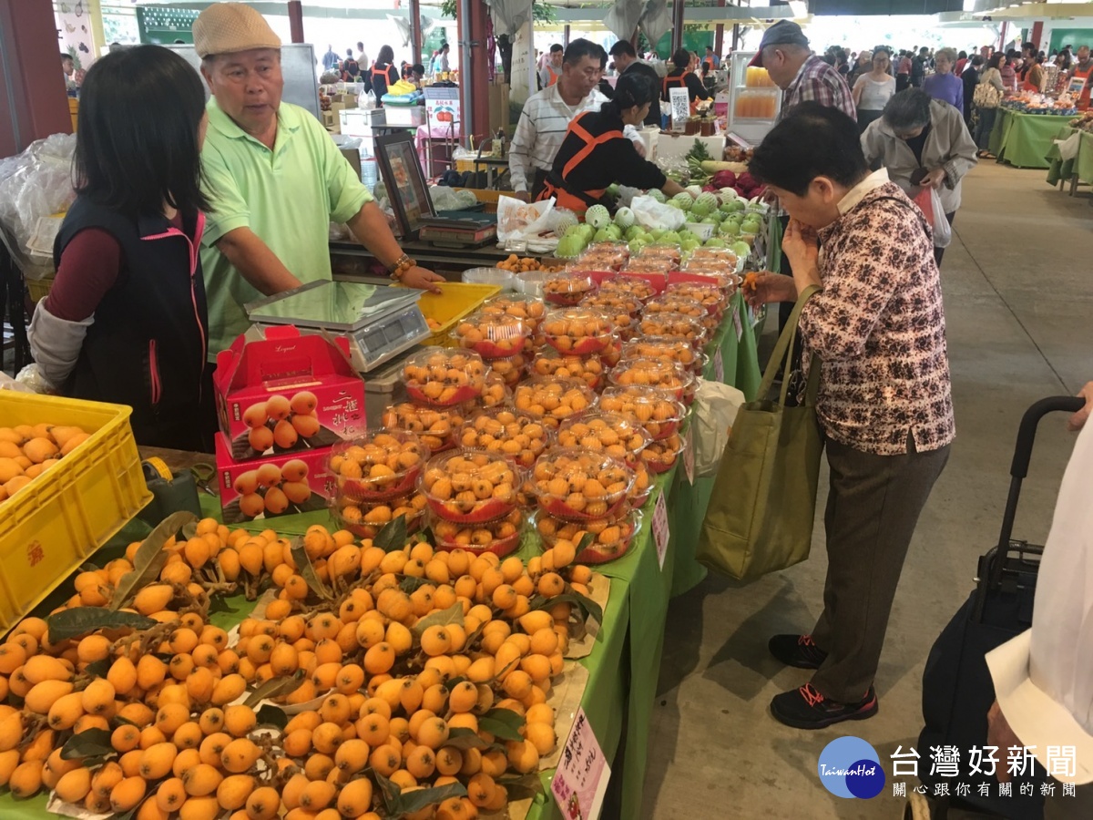 中市推廣優質農產品　北上展售枇杷、茂谷柑 台灣好新聞 第2張