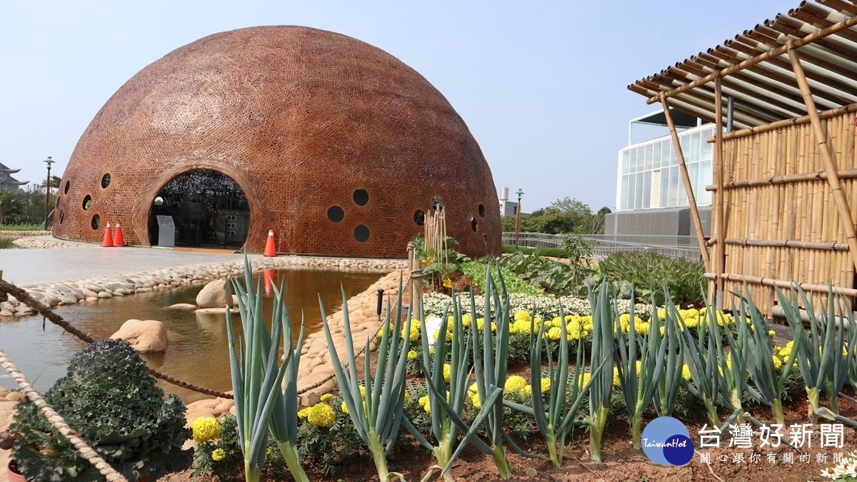 花博外埔園區植栽花卉正熱鬧　各色杜鵑交互綻放形成園林之美 台灣好新聞 第2張