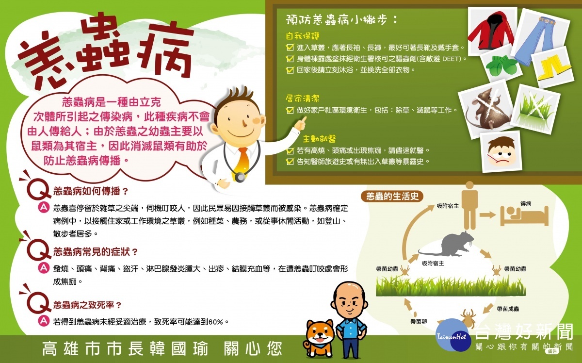 預防恙蟲宣傳單。(圖/高雄市衛生局提供)