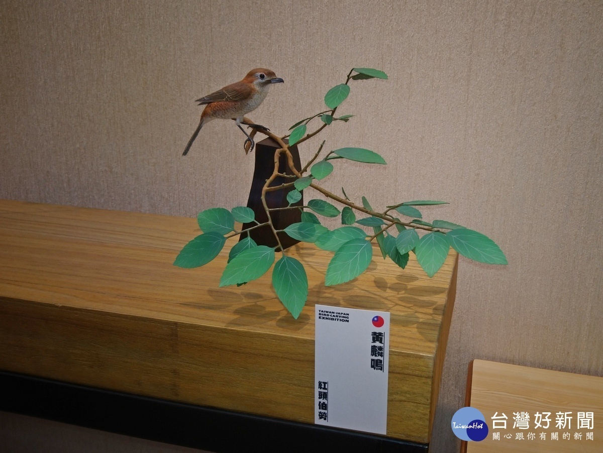 栩栩如生的紅頭伯勞。