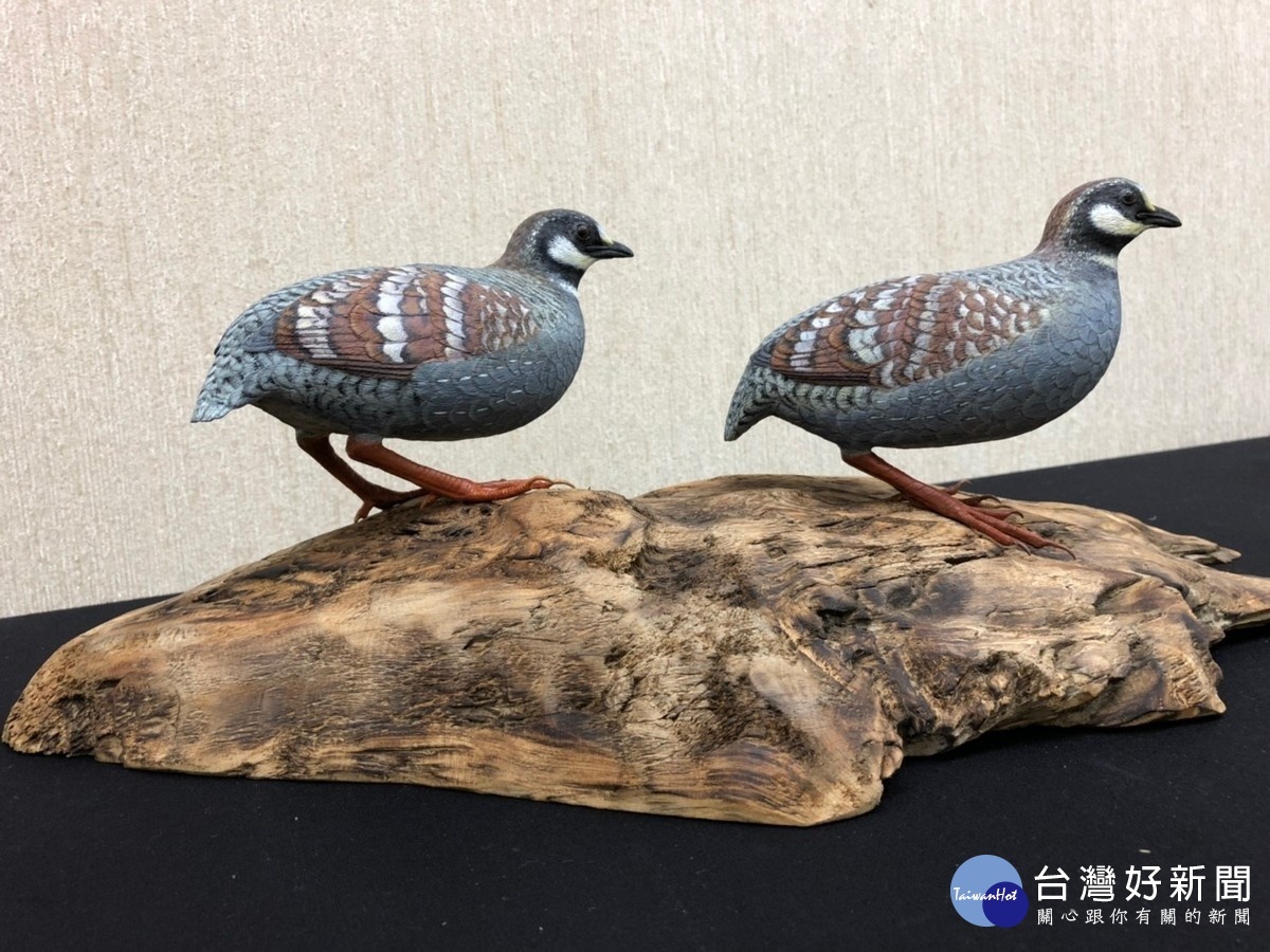 台灣山鷓鴣-黃麟鳴老師作品