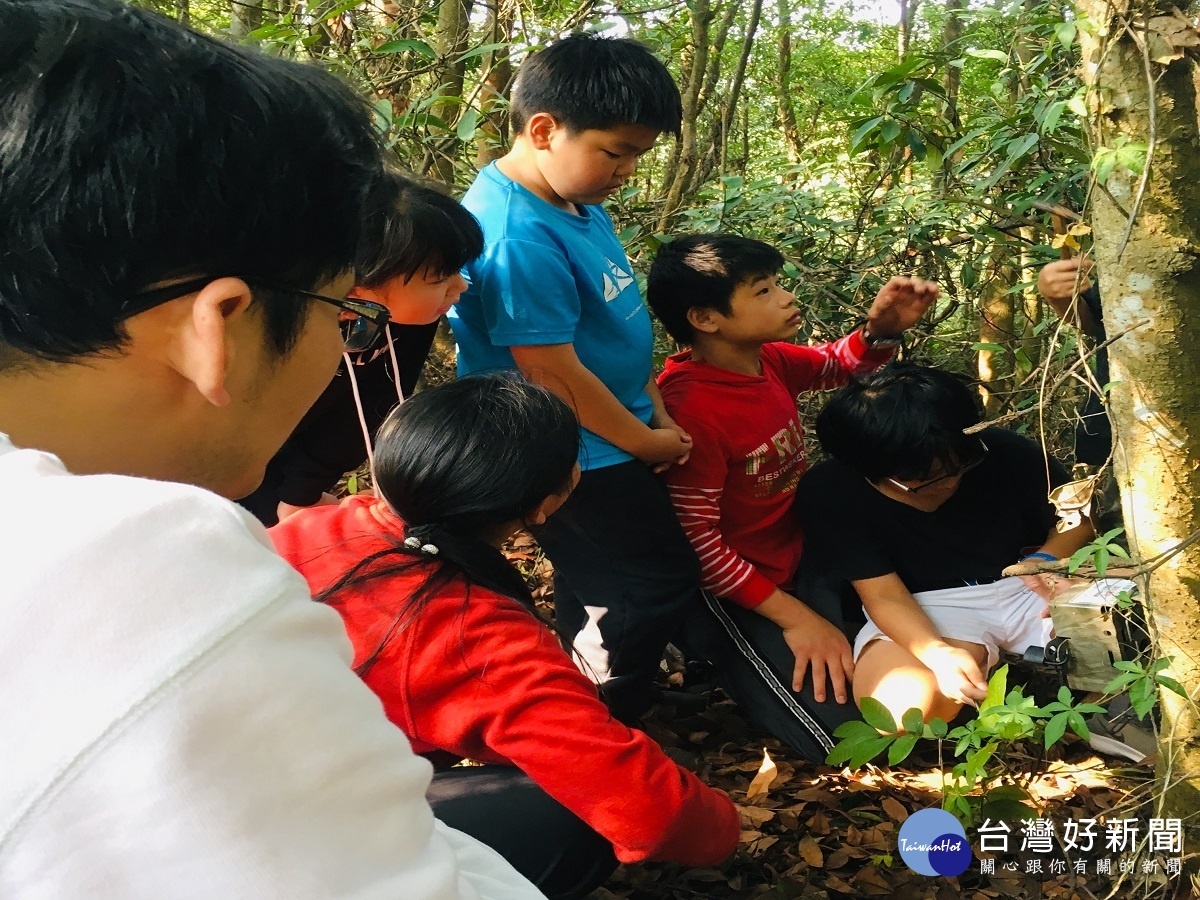 彰化文德國小學生研究石虎族群分布　盼喚起民眾對生態保育重視 台灣好新聞 第4張