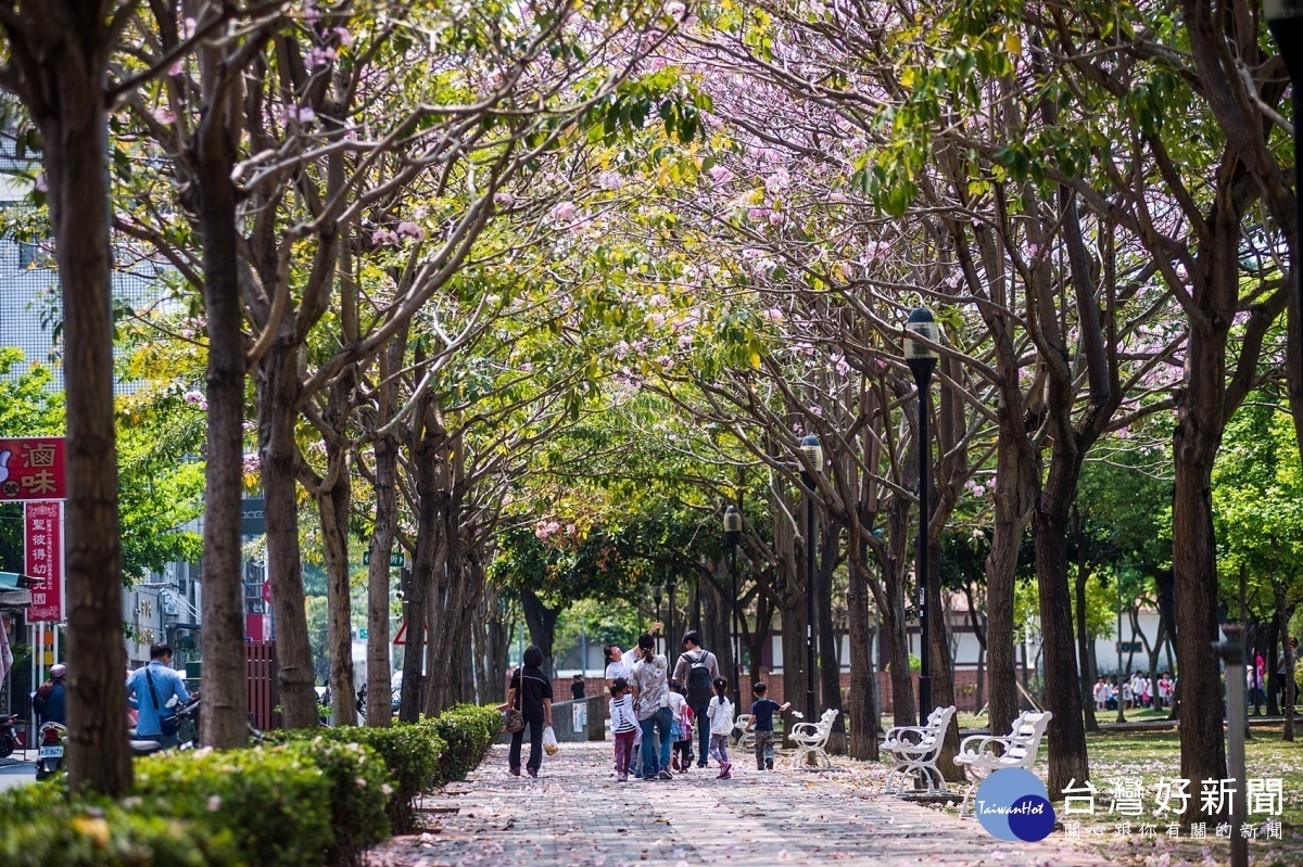 嘉市文化路限定美景、美食、藝術　從早到晚不藏私玩法報你知 台灣好新聞 第1張