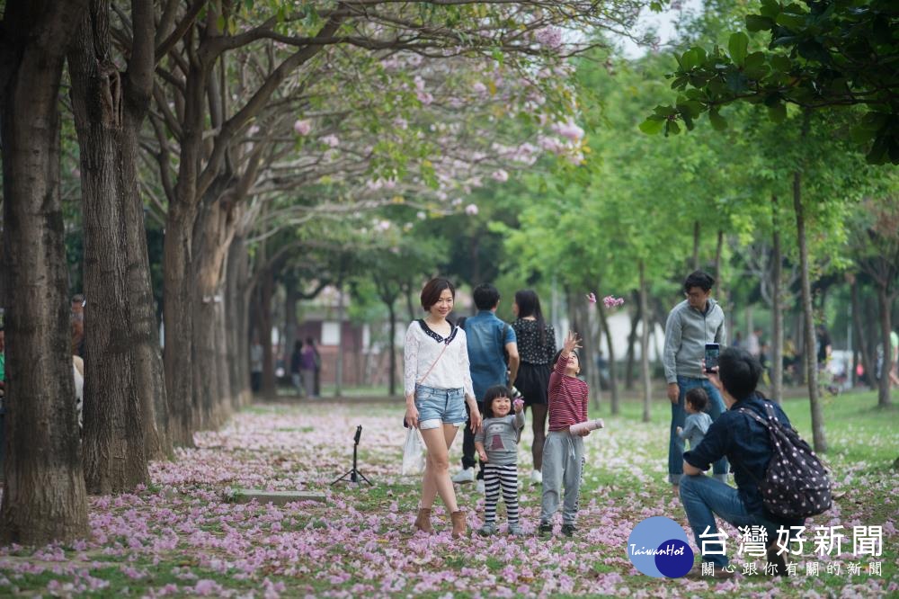 嘉市文化路限定美景、美食、藝術　從早到晚不藏私玩法報你知 台灣好新聞 第2張