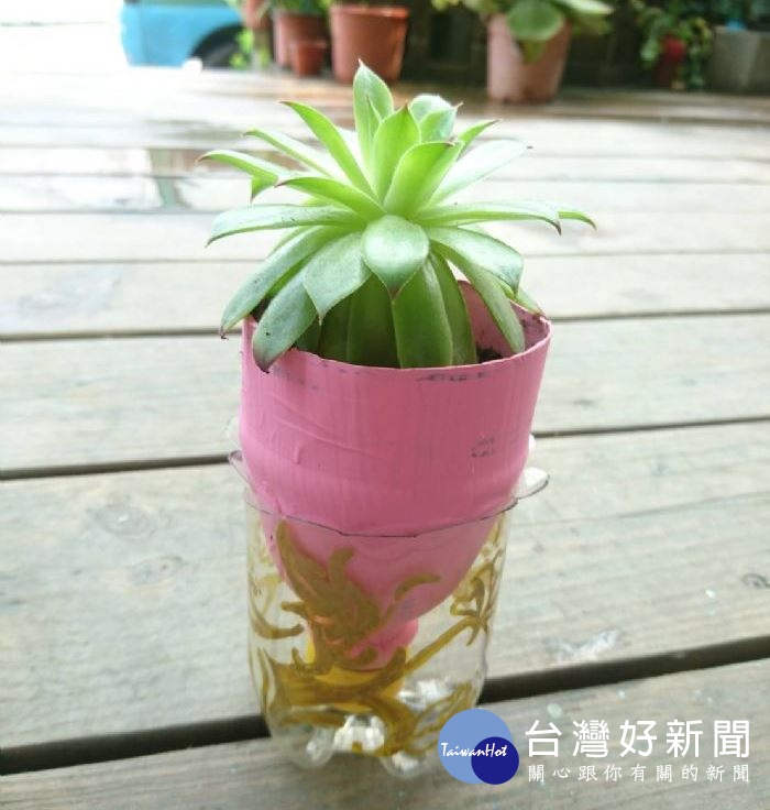 寶特瓶綠化DIY互動