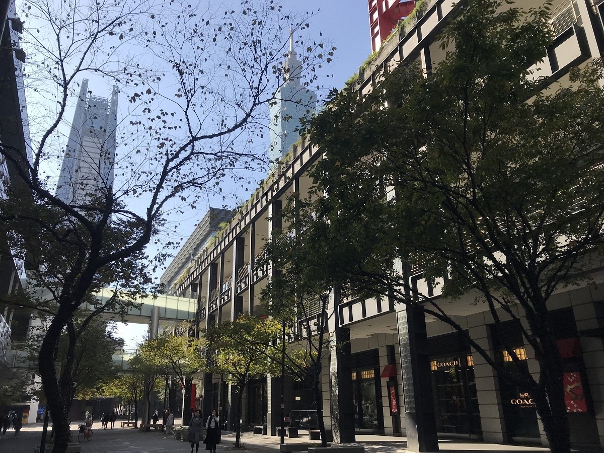 香堤廣場種植臺灣櫸及小葉欖仁等樹種,有深化步道景緻效果。