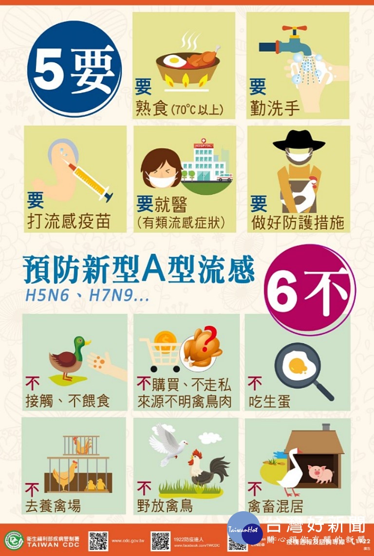疾管署指出,H7N9流感絕大多數為禽傳人,人傳人罕見,僅有零星病例。初期症狀為發燒、咳嗽,可伴有頭痛、肌肉痠痛、畏寒和全身倦怠。重症患者多在發病3至7天出現嚴重肺炎,並快速進展成呼吸衰竭、敗血性休克,甚至多重器官功能障礙。(圖/衛福部疾病管制署)