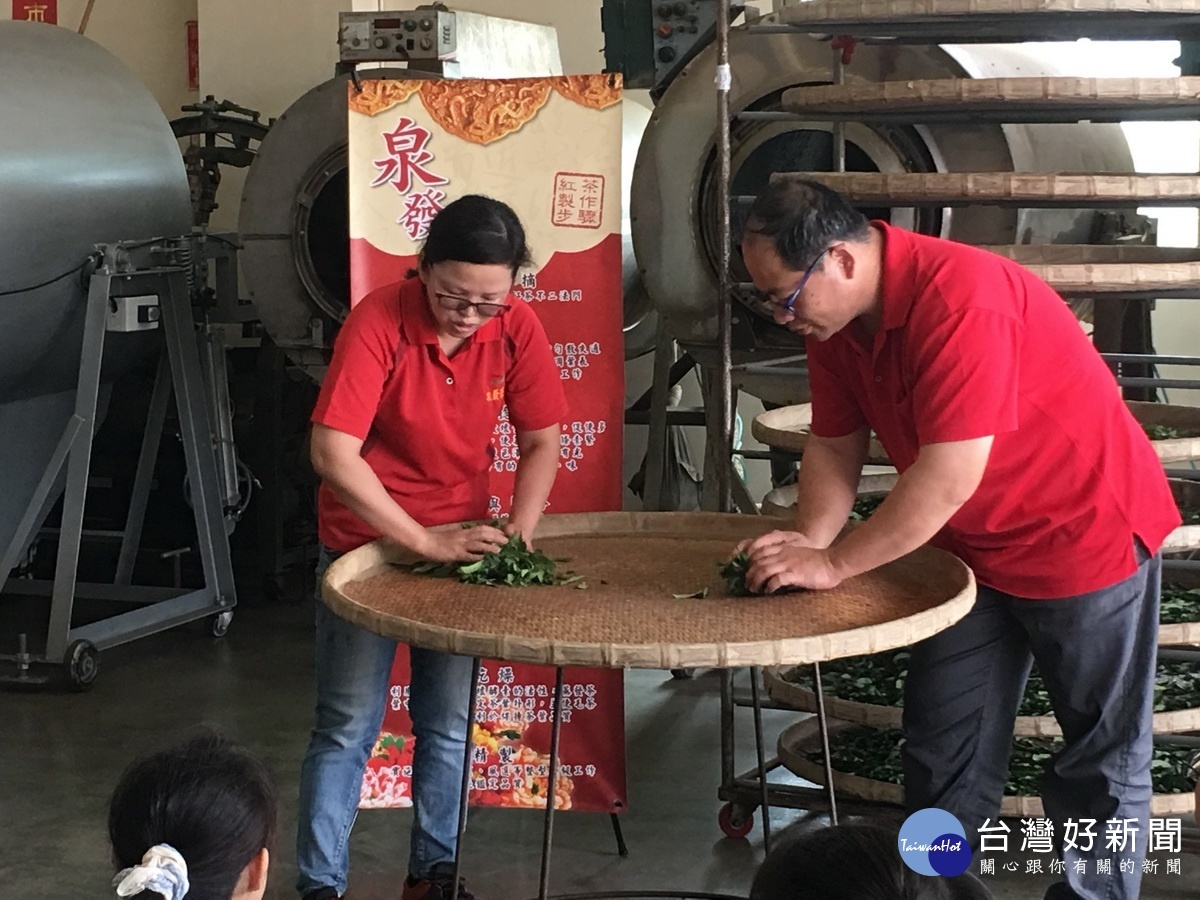 謝明欽夫婦指導如何揉茶。(記者扶小萍攝)