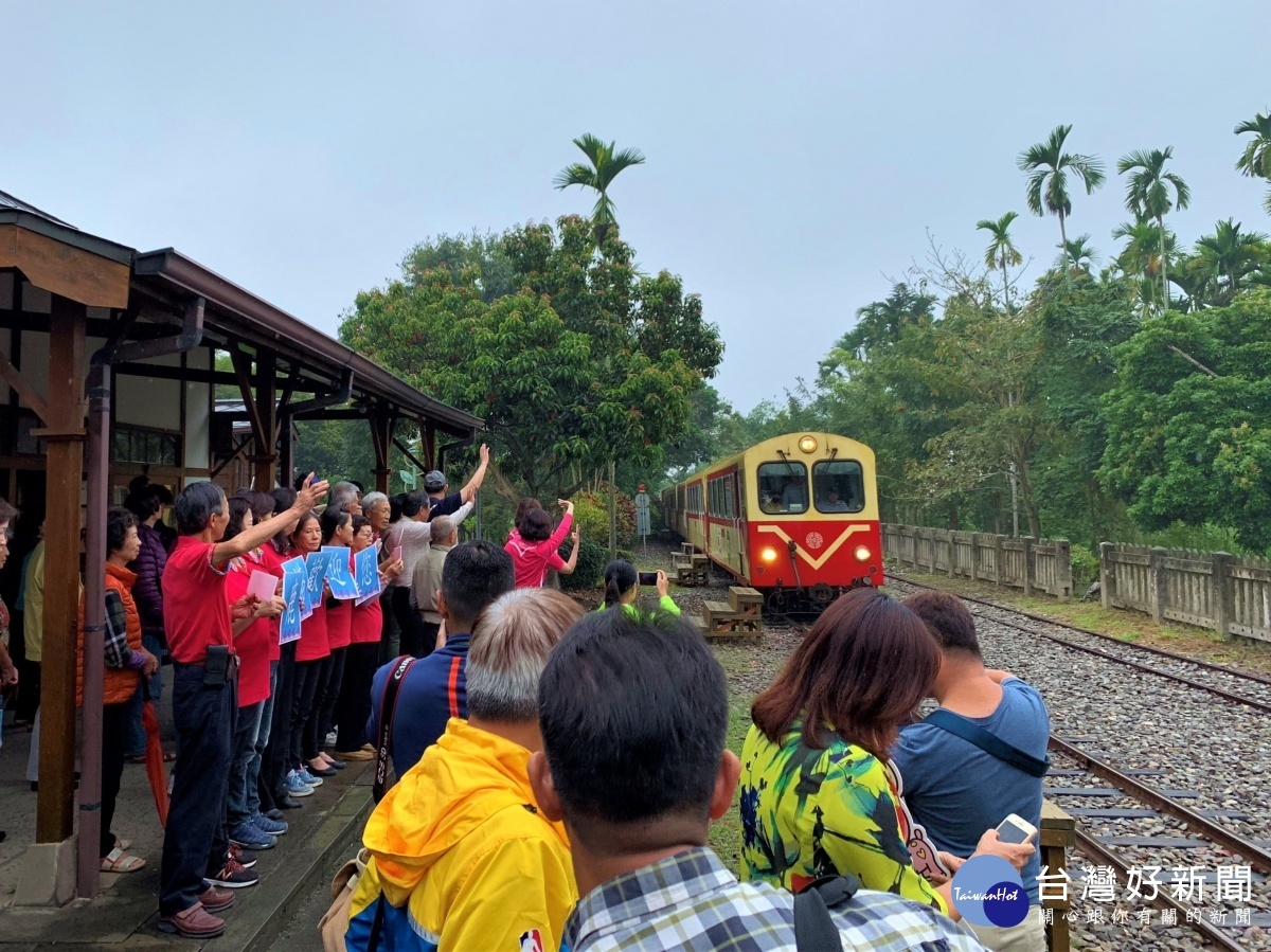 早年處處可見梅花鹿　阿里山列車恢復停靠鹿麻產車站 台灣好新聞 第1張