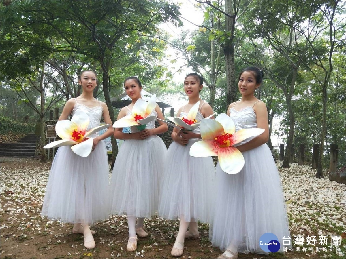 員林的秘境「後花園」 桐花祭為來訪民眾浸身盎然幽徑