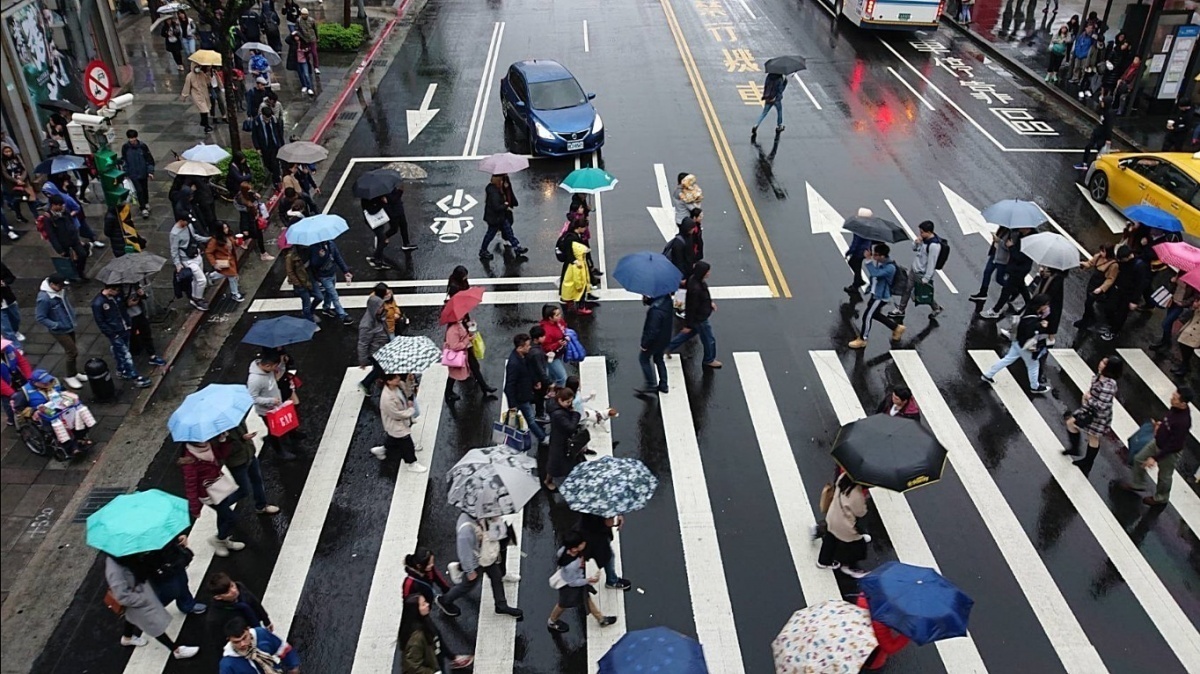 立院初審《道交處罰條例》　行車過斑馬線不禮讓視障者最高罰7200元 台灣好新聞 第1張