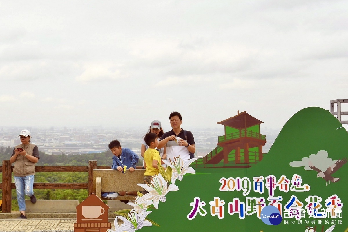 2019大古山野百合花季開幕,吸引民眾闔家前往觀賞遊憩。