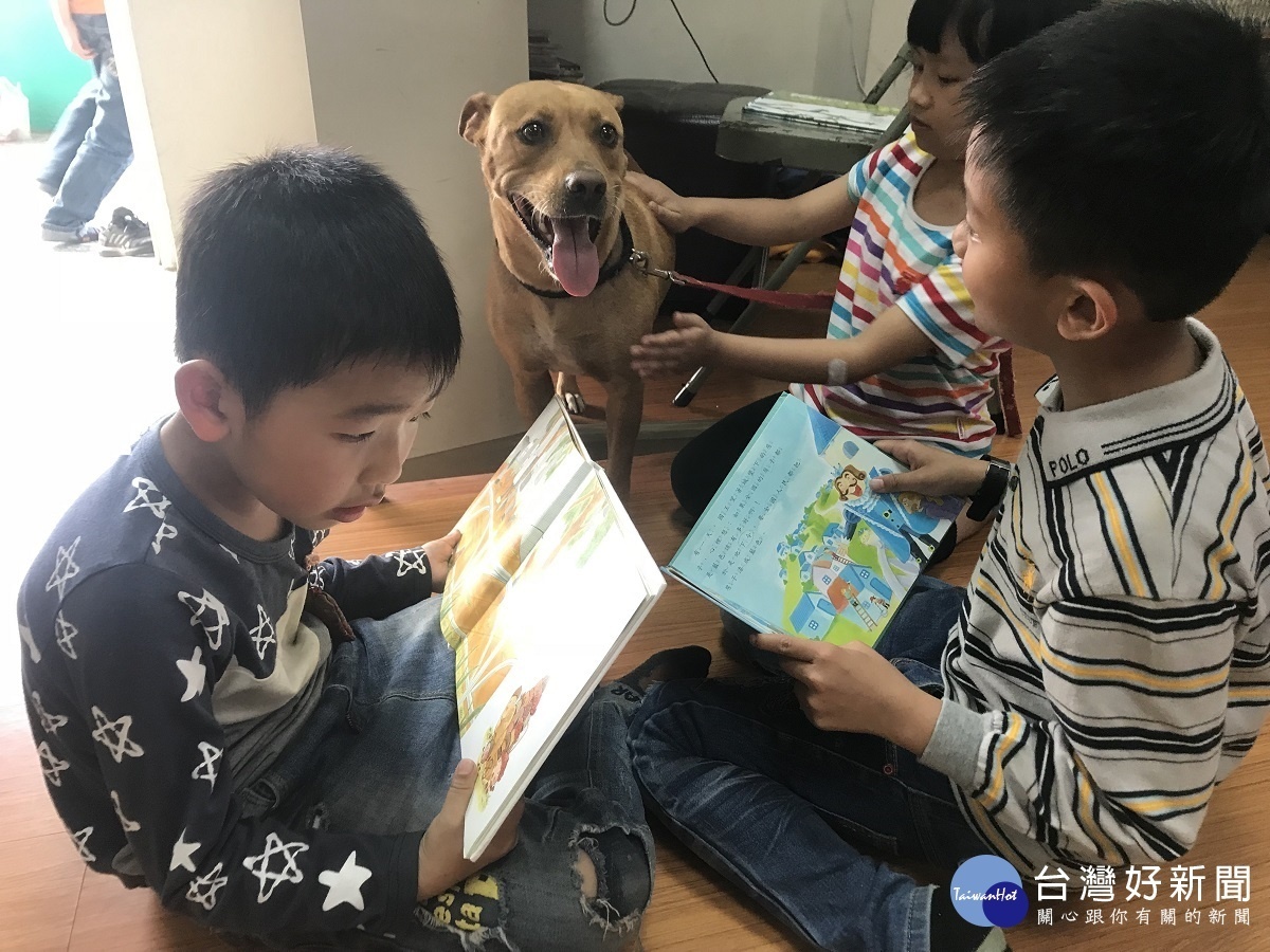 文德國小校犬豆豆畢業了 師生不捨祝牠找到好歸宿