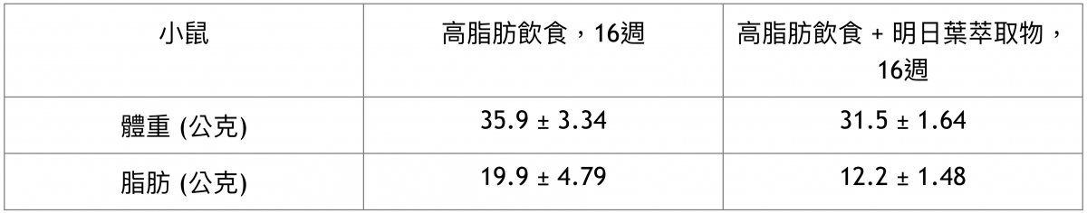 哈佛博士談減肥／明日葉抗肥胖？　似乎不相關的事全連到了一起 台灣好新聞 第3張